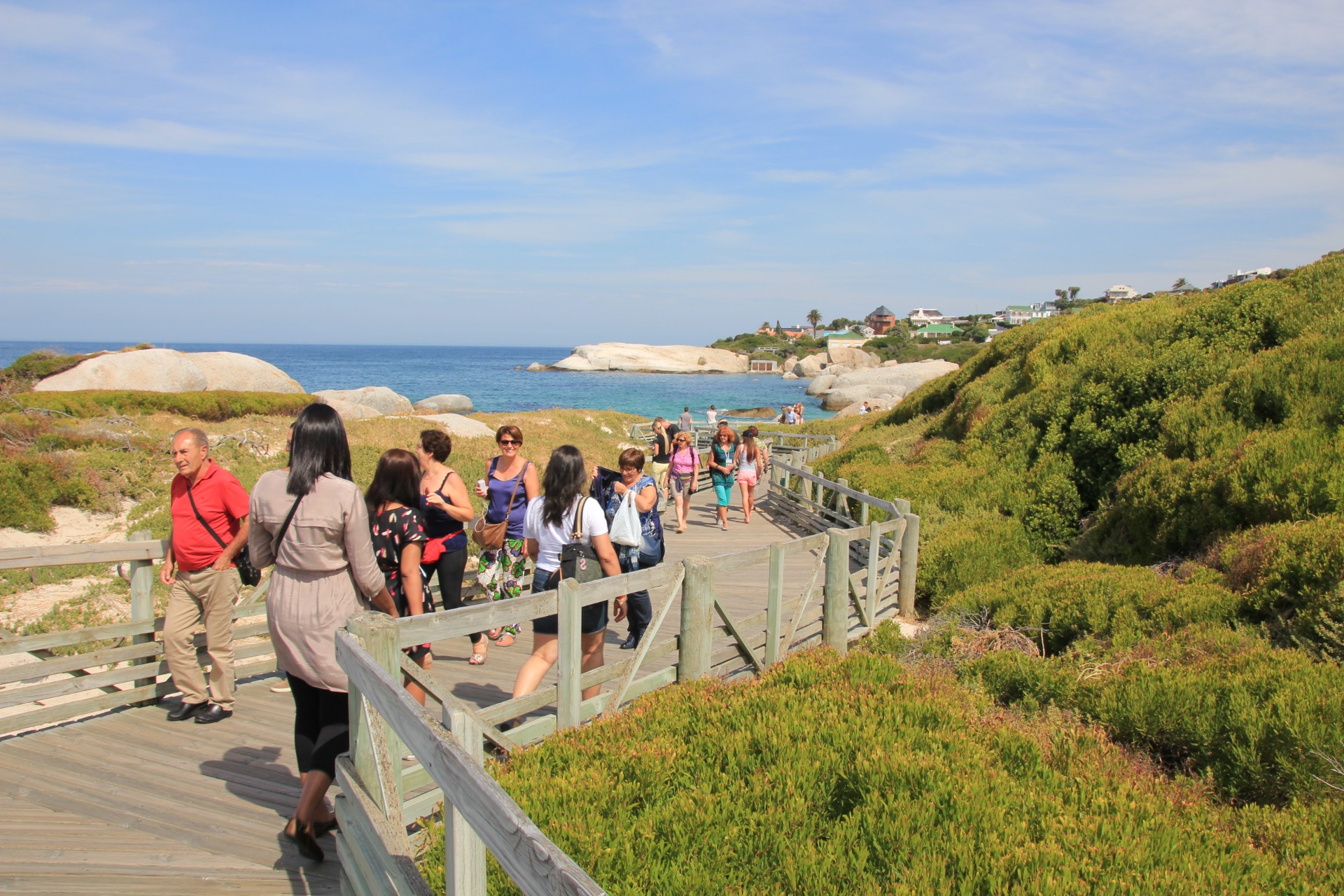 Pinguins da Boulders Beach, África do Sul