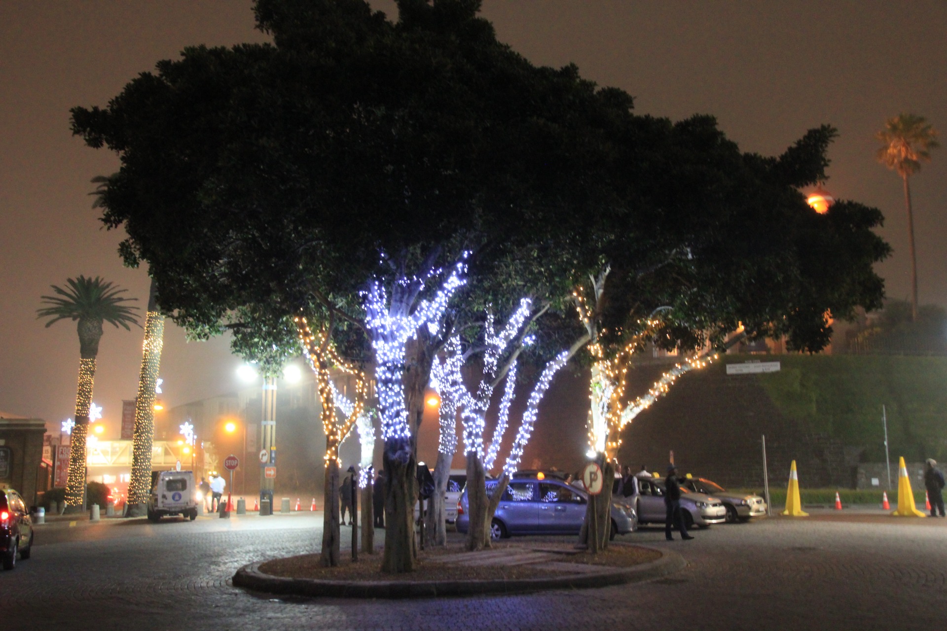 Visitando a Cidade do Cabo