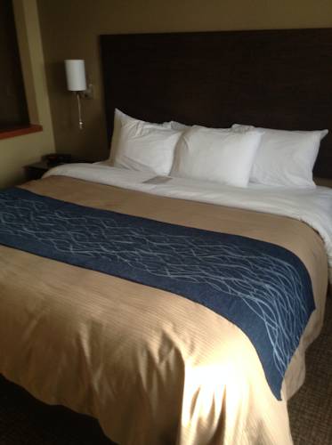 Comfort Inn and Suites Waterloo