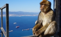 1 giorno di viaggio a Gibilterra con partenza da Lagos