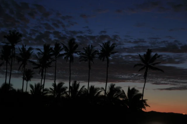 Ilha de Reunião