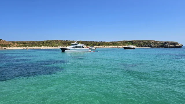 Carnac Island, Perth - Australia