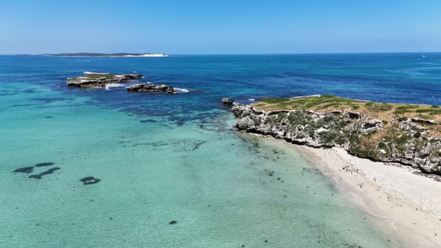 Carnac Island, Perth - Australia