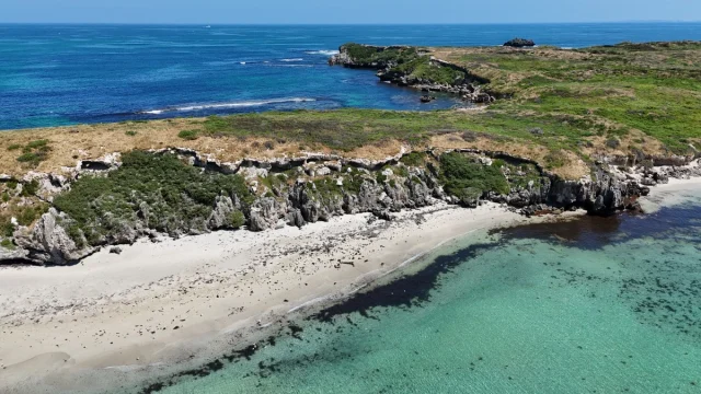 Carnac Island, Perth - Australia