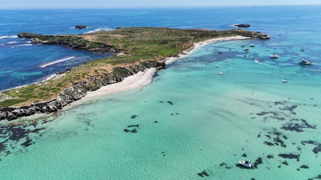 Carnac Island, Perth - Australia