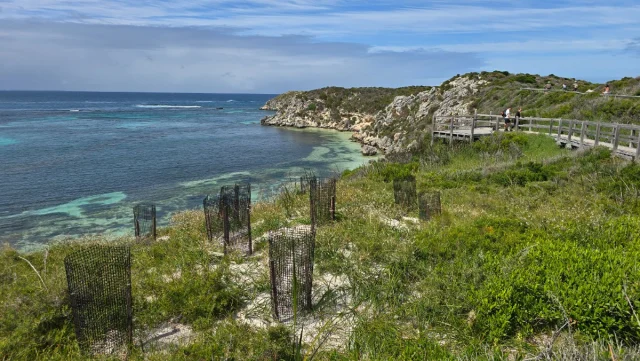 Rosttnet Island, Perth - Austrália
