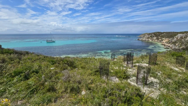 Rosttnet Island, Perth - Austrália