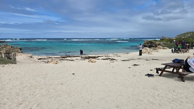 Rosttnet Island, Perth - Austrália