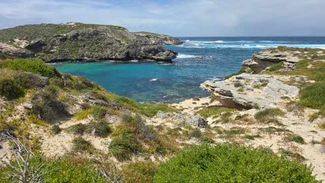 Rosttnet Island, Perth - Austrália