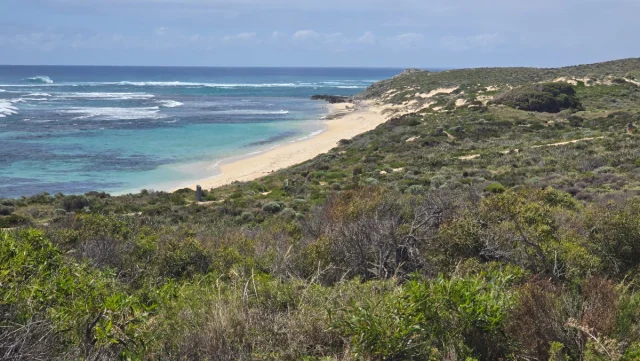 Rosttnet Island, Perth - Austrália