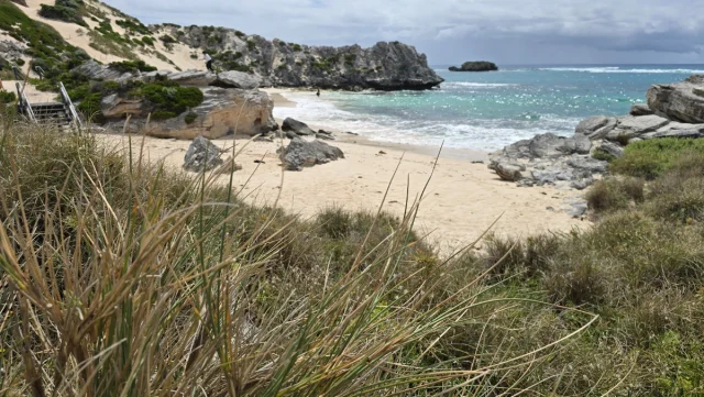 Rosttnet Island, Perth - Austrália