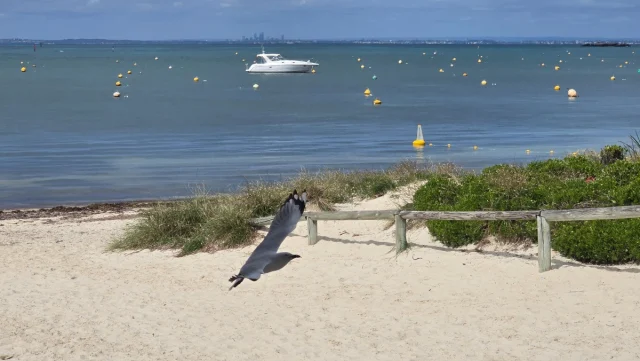 Rosttnet Island, Perth - Austrália