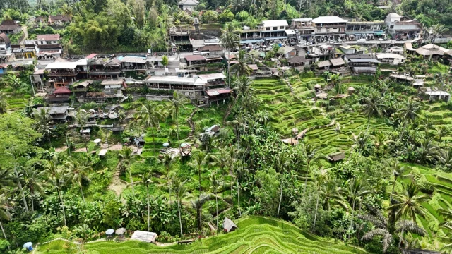 Ubud, Bali,- Idonésia