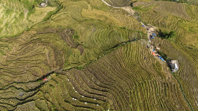 Sa Pa (SaPa) Norte Vietname