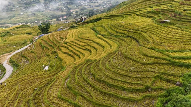 Sa Pa (SaPa) Norte Vietname