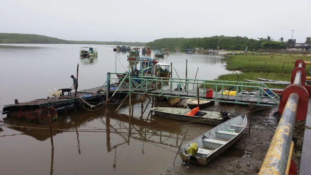 Canavieiras, Bahía - Brasil