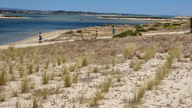 Fuzeta - Algarve