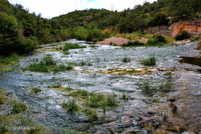 Paderne, Algarve
