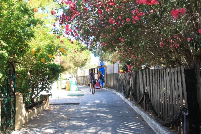Ilha da Armona, Algarve