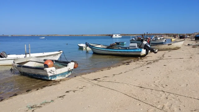 Ilha da Culatra, Algarve