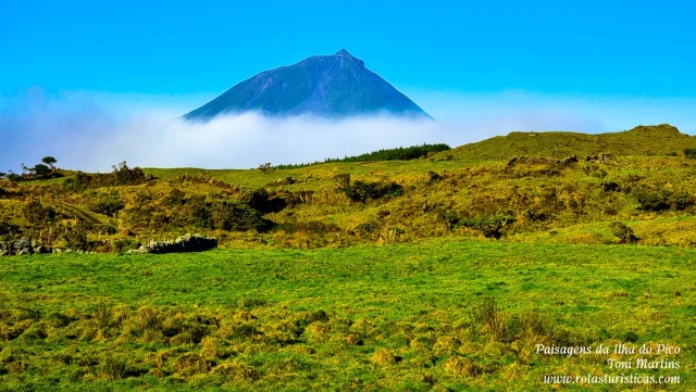 Ilha do Pico