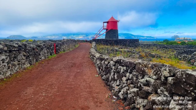 Ilha do Pico