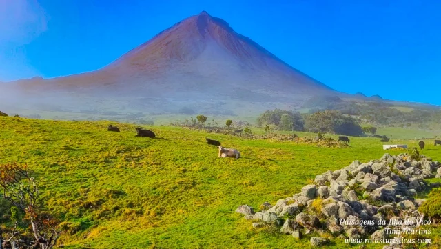 Ilha do Pico