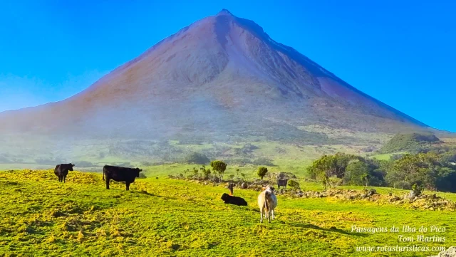 Ilha do Pico, Açores