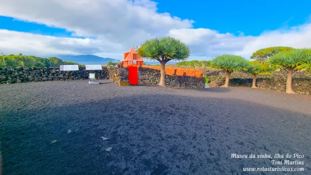 Ilha do Pico