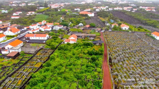 Ilha do Pico