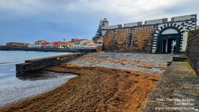 Ilha do Faial, Açores
