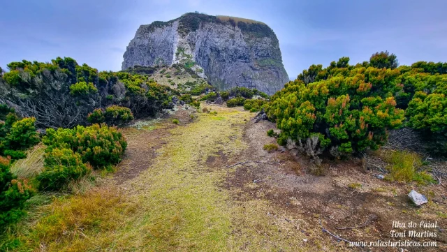 Ilha do Faial, Açores