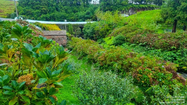 Ilha de São Jorge, Açores
