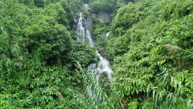 Ilha de São Jorge, Açores