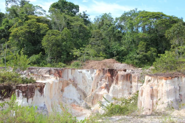 Manaus, Amazónia - Brasil