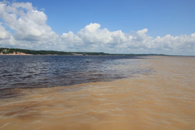 Manaus, Amazónia - Brasil