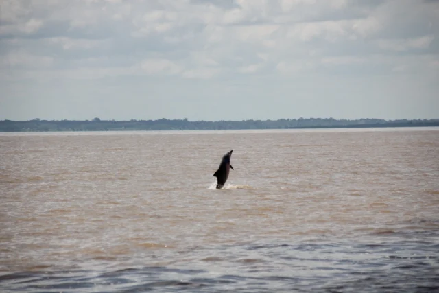 Manaus, Amazónia - Brasil