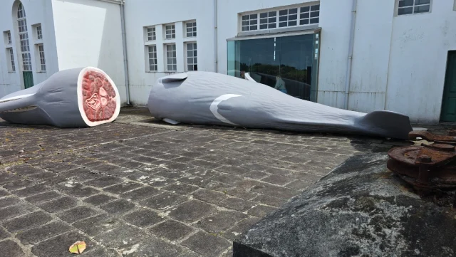 Ilhas dos Açores
