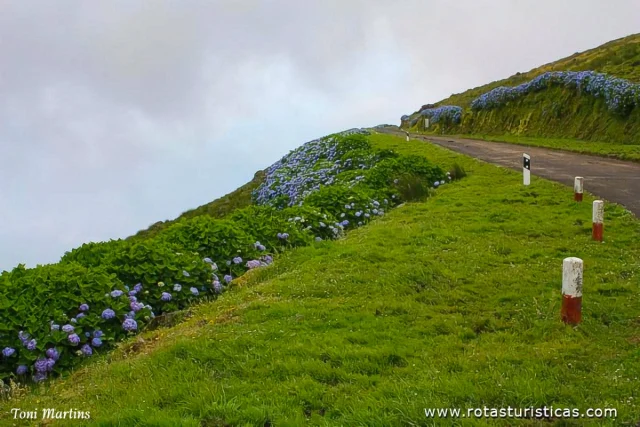 Açores, Ilha do Corvo
