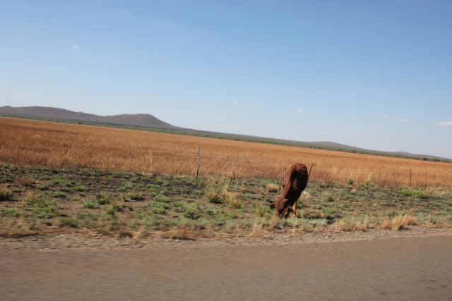 Sun City, África do Sul