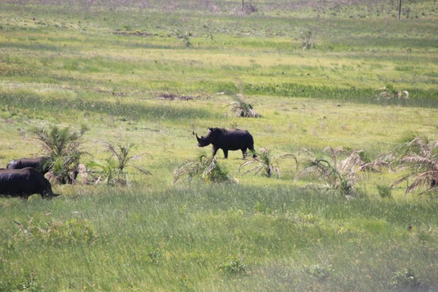 Santa Lucia - Africa do Sul