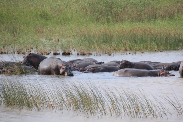 Santa Lucia - Africa do Sul