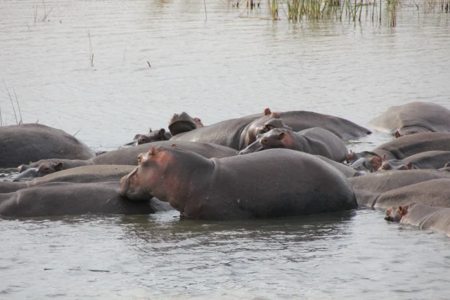 Santa Lucia - Africa do Sul