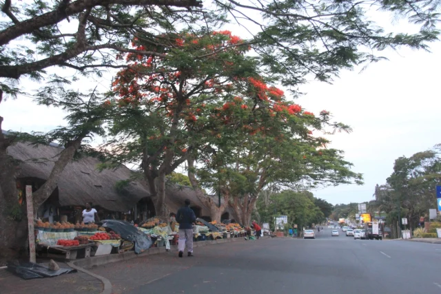 Santa Lucia - Africa do Sul