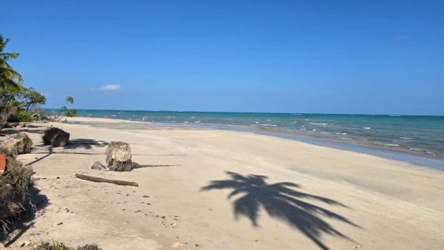 Praia do Sonho Verde