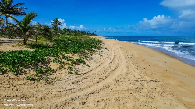 Mogiquiçaba
