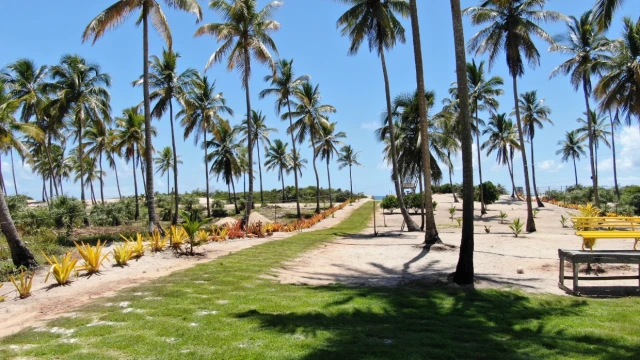 Mogiquiçaba