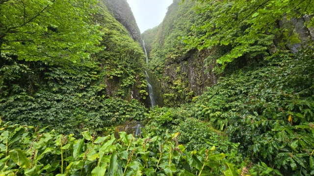 Ilha das Flores, Açores