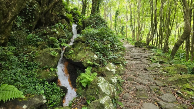 Ilha das Flores, Açores