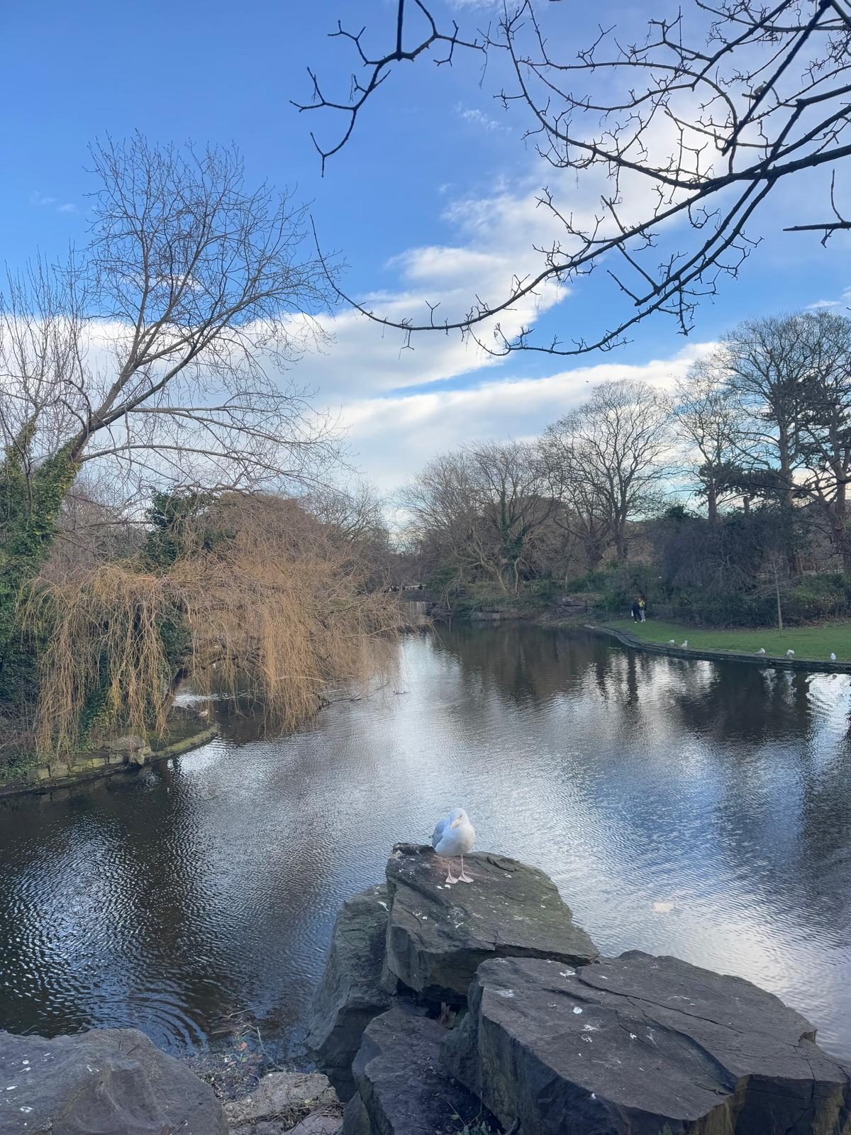 Dublin